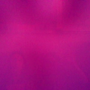 Meet your Posher, Brynn